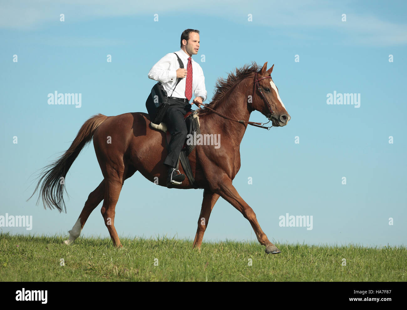 Businessman, manager with a bag, riding a horse Stock Photo - Alamy