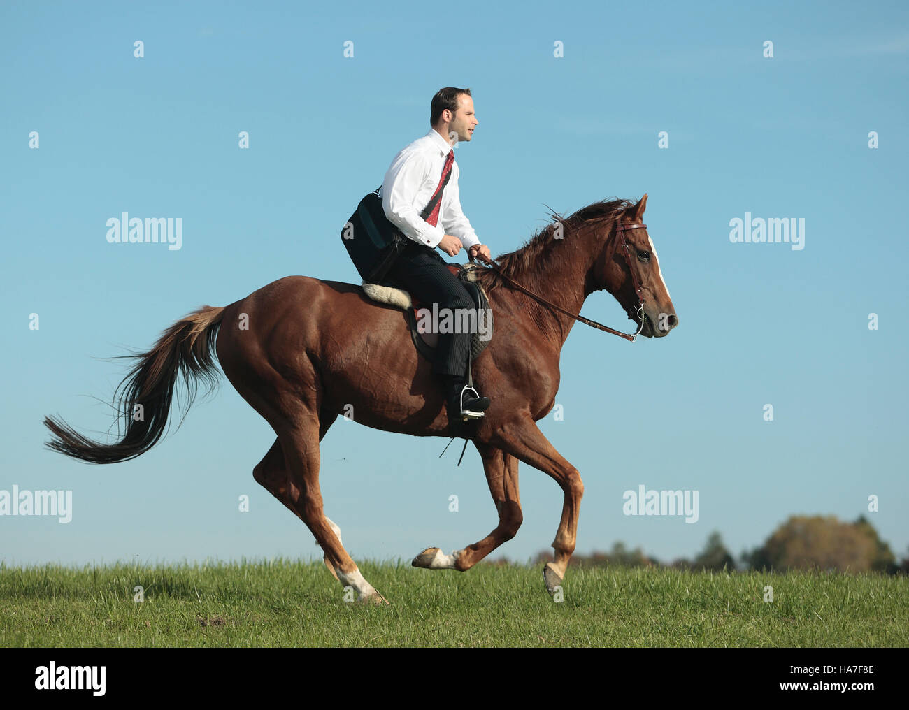 Businessman, manager with a bag, riding a horse Stock Photo