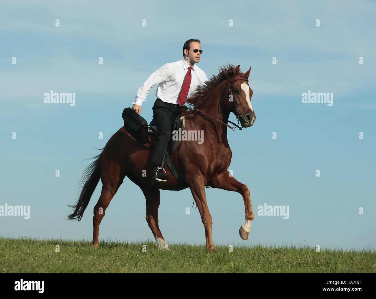 Businessman riding a horse hi-res stock photography and images - Alamy