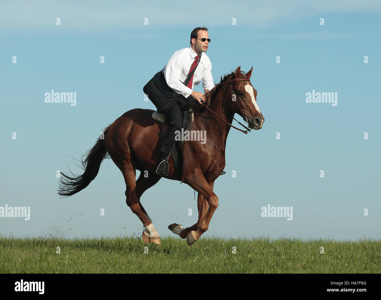 Businessman, manager with a bag, riding a horse Stock Photo - Alamy