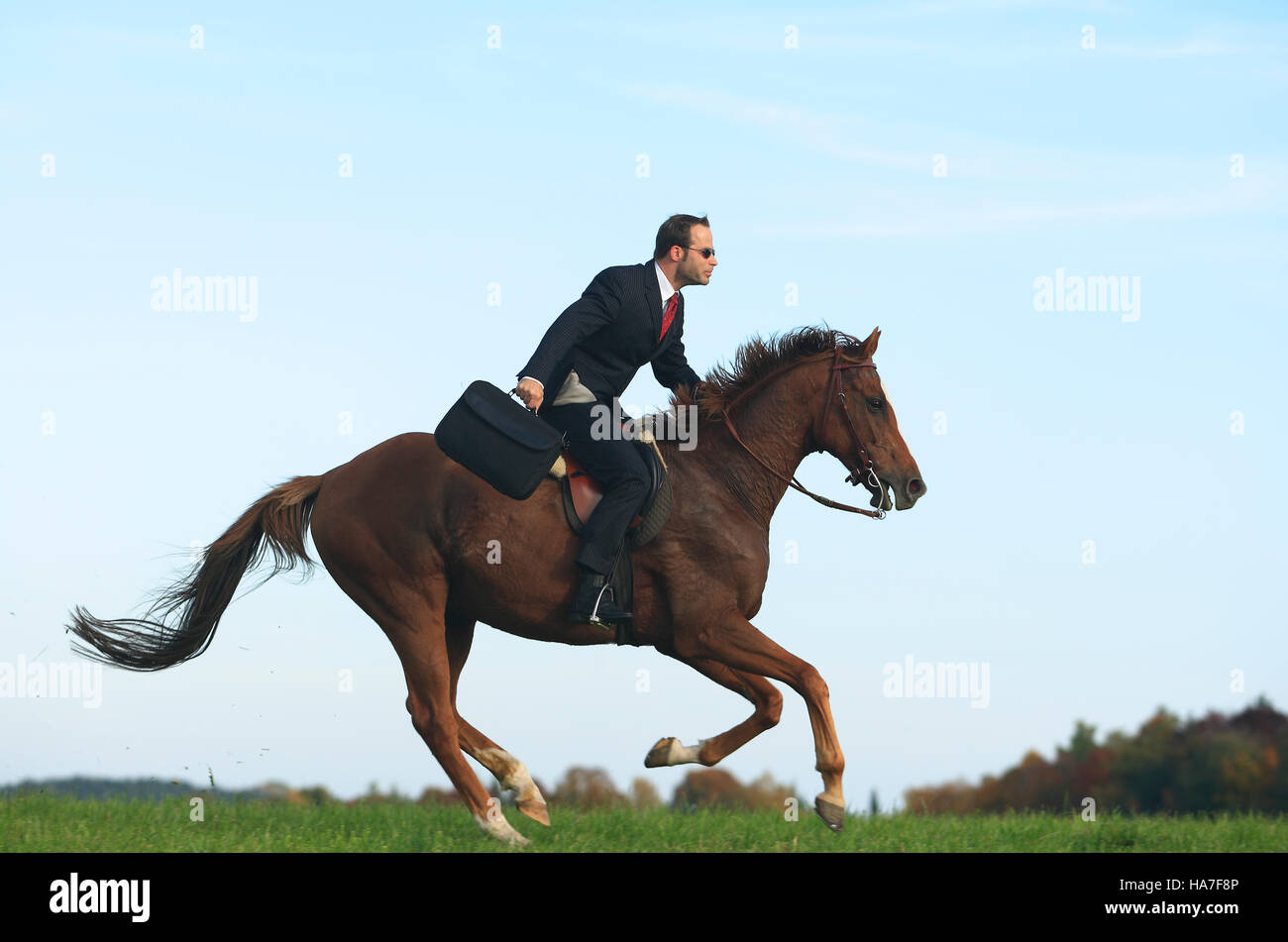 Businessman, manager with a bag, riding a horse Stock Photo - Alamy