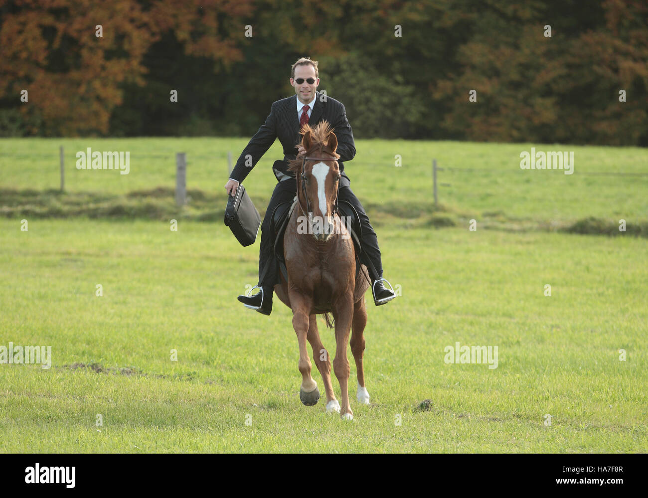 Businessman, manager with a bag, riding a horse Stock Photo