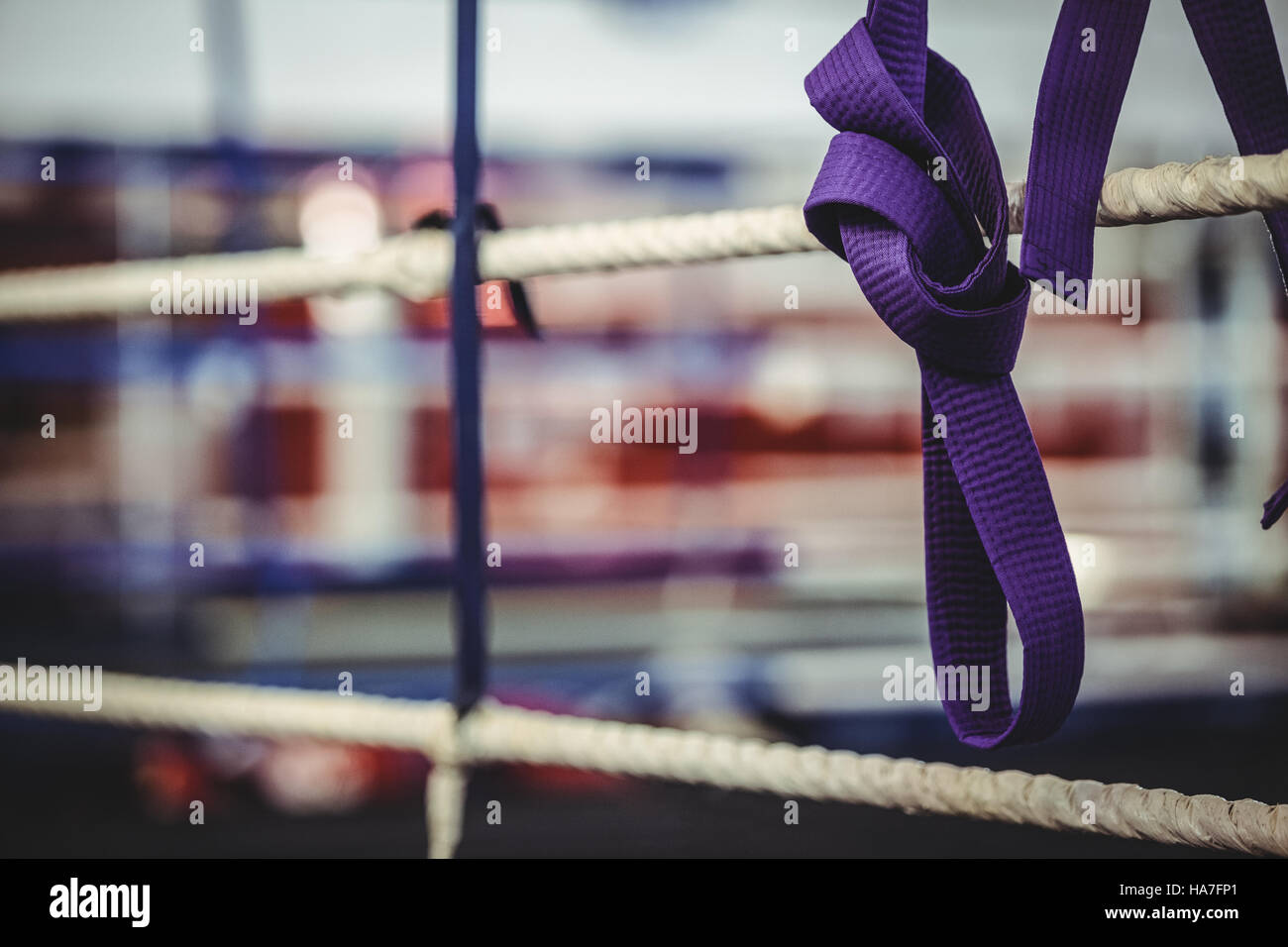 Karate purple belt hang off the rope Stock Photo - Alamy