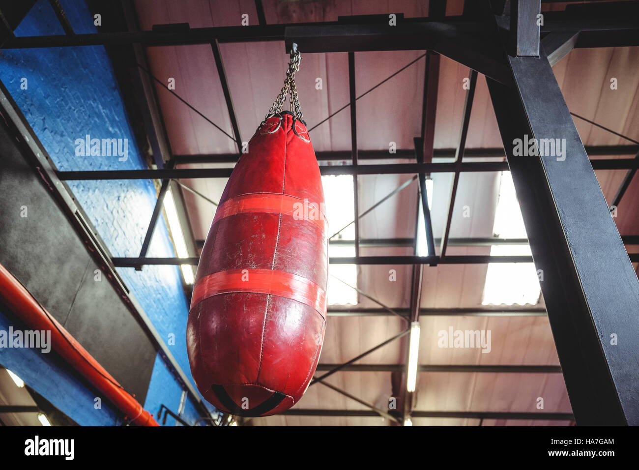 Punching Bag Hanging From Ceiling Stock Photo 126785644 Alamy
