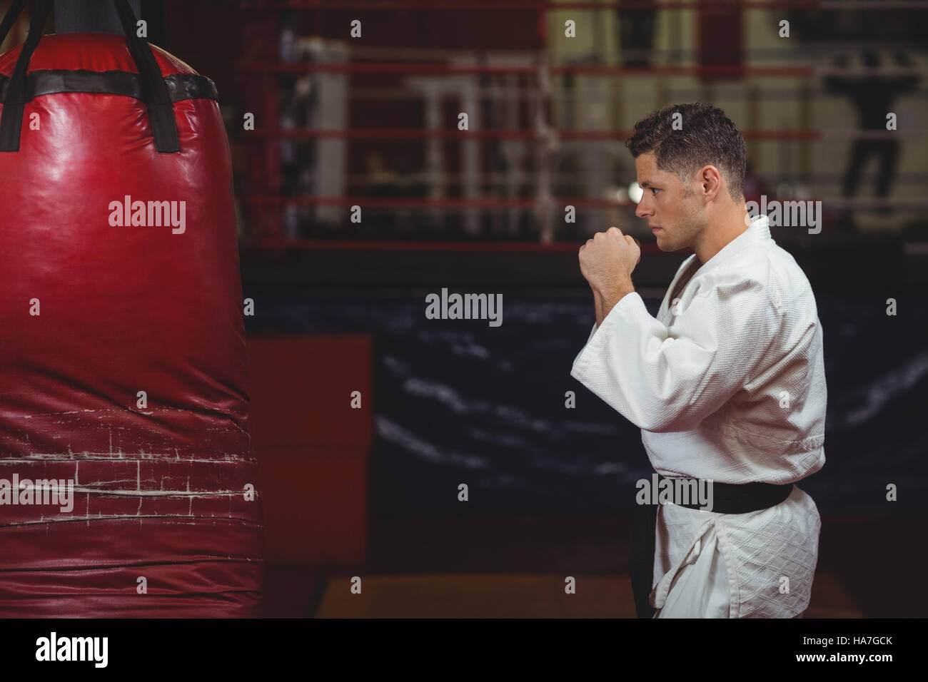 Karate player practicing on punching bag Stock Photo Alamy
