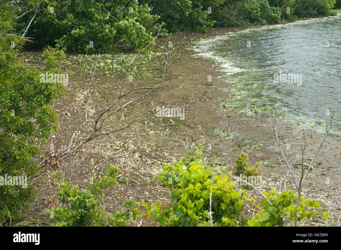 The USDA’s Rural Development initiative focuses on agricultural ...