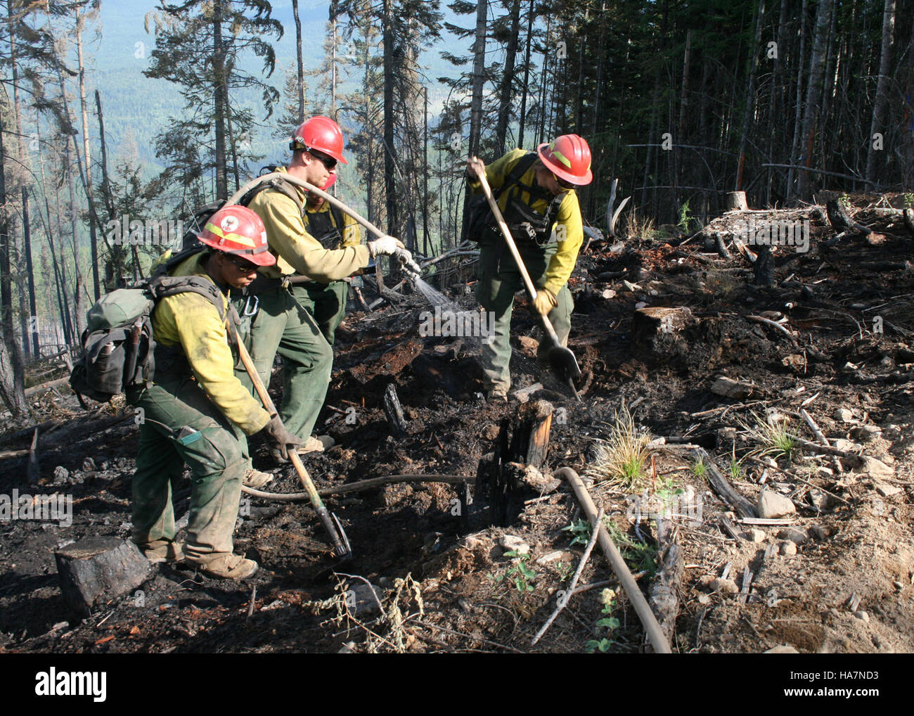 Firefighting efforts at Rogers Fire in Coleville National Forest ...
