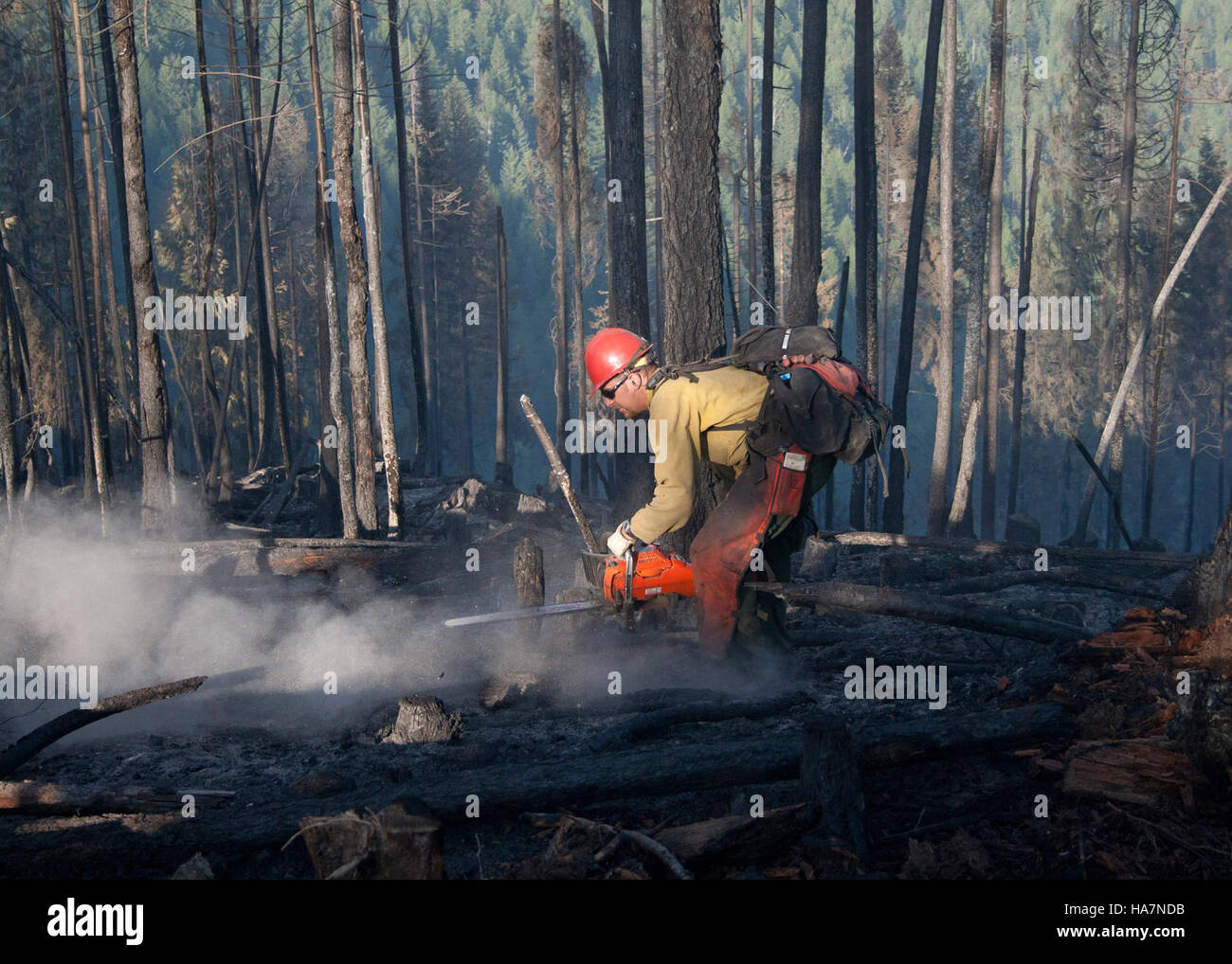 The Rogers Fire in Coleville National Forest required extensive ...