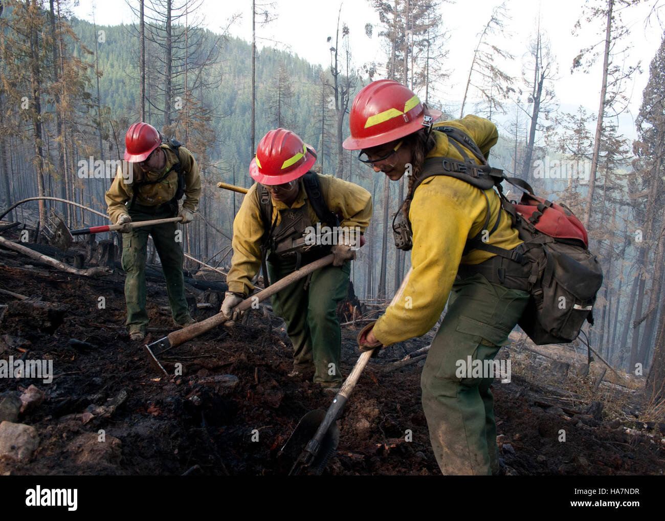 Firefighting efforts in the Coleville National Forest during the Rogers ...