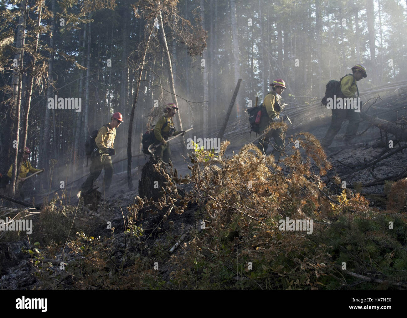 A photo of firefighting efforts at the Rogers Fire in the Colville ...