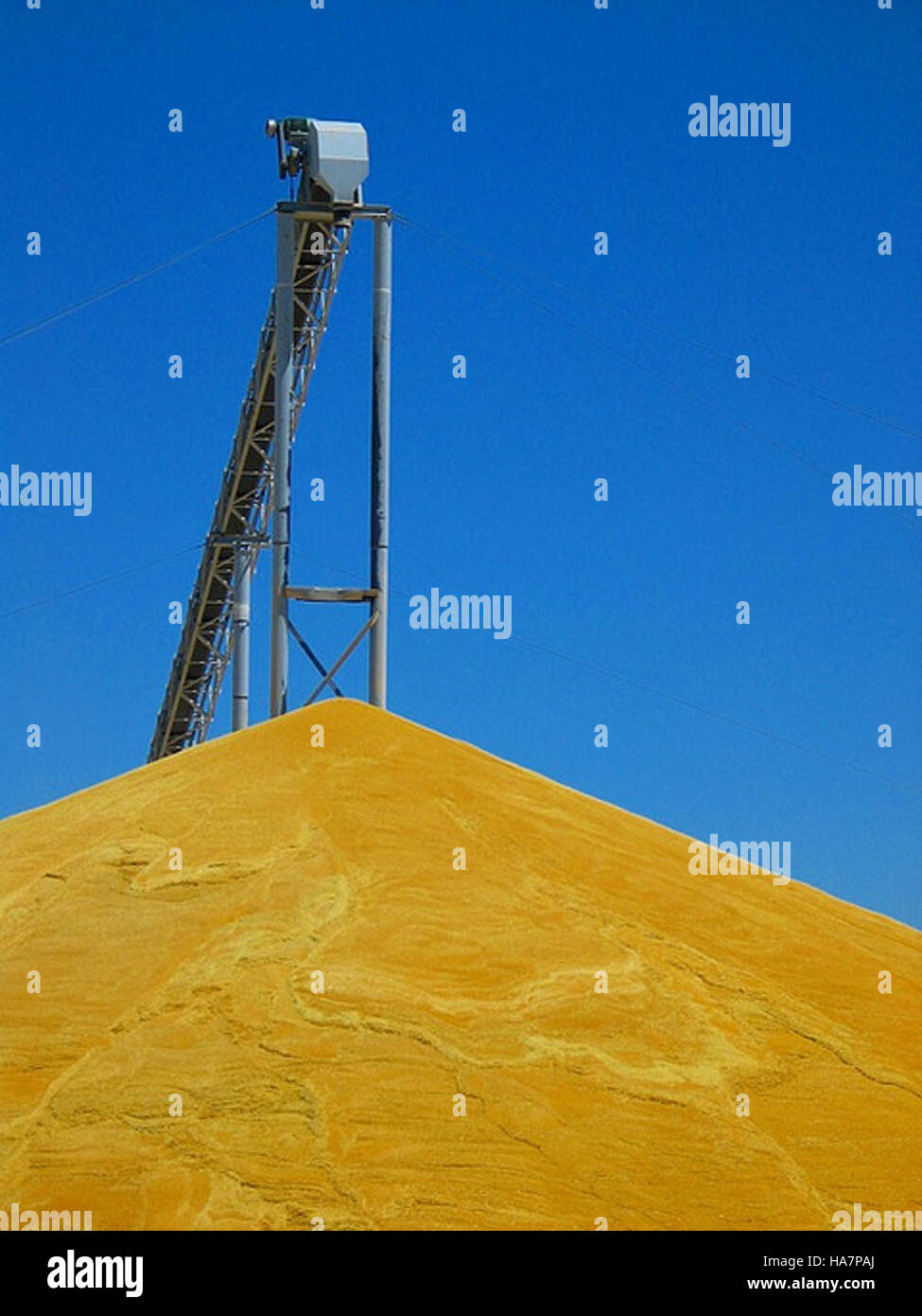 Grain Loading Inspection A grain inspection photo captured for USDA purposes, illustrating the ...