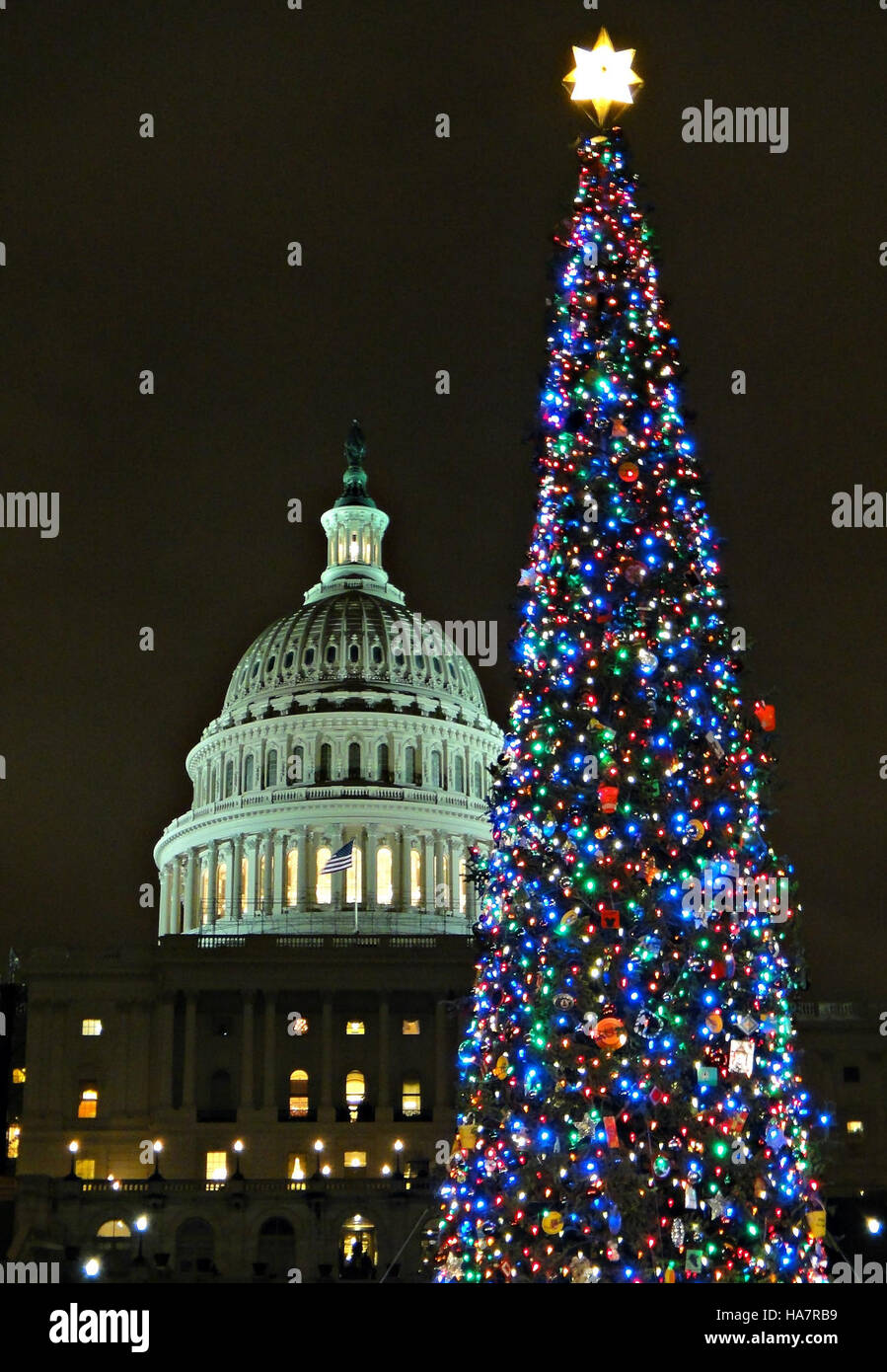 This image captures the intersection of nature and policy, as ...