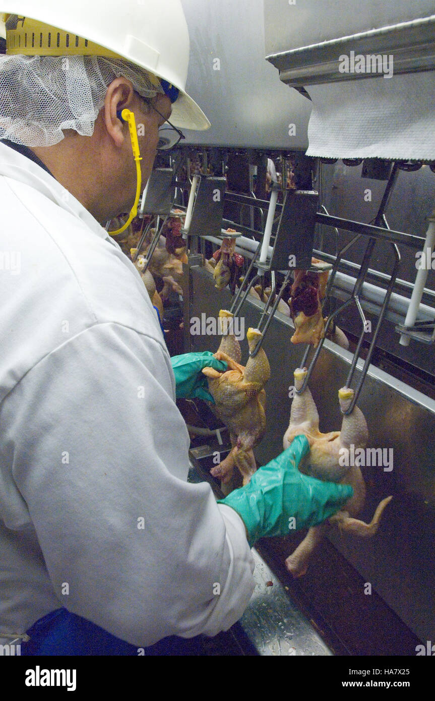 The USDA’s Food Safety Inspection Service (FSIS) celebrates its 150th ...