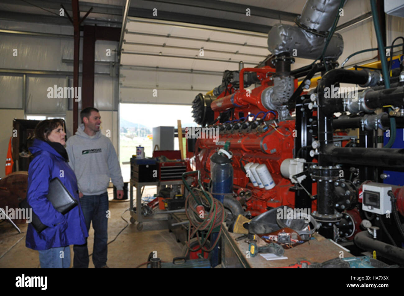 This image showcases a small environmental project, likely focused on ...