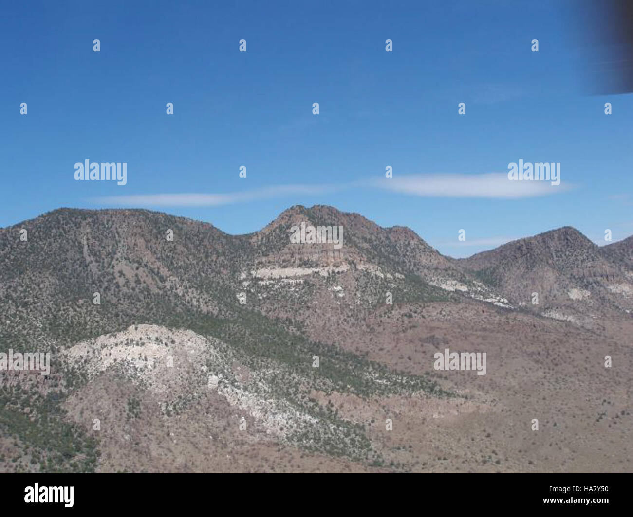 Big Rocks Wilderness in Nevada is a protected area renowned for its ...