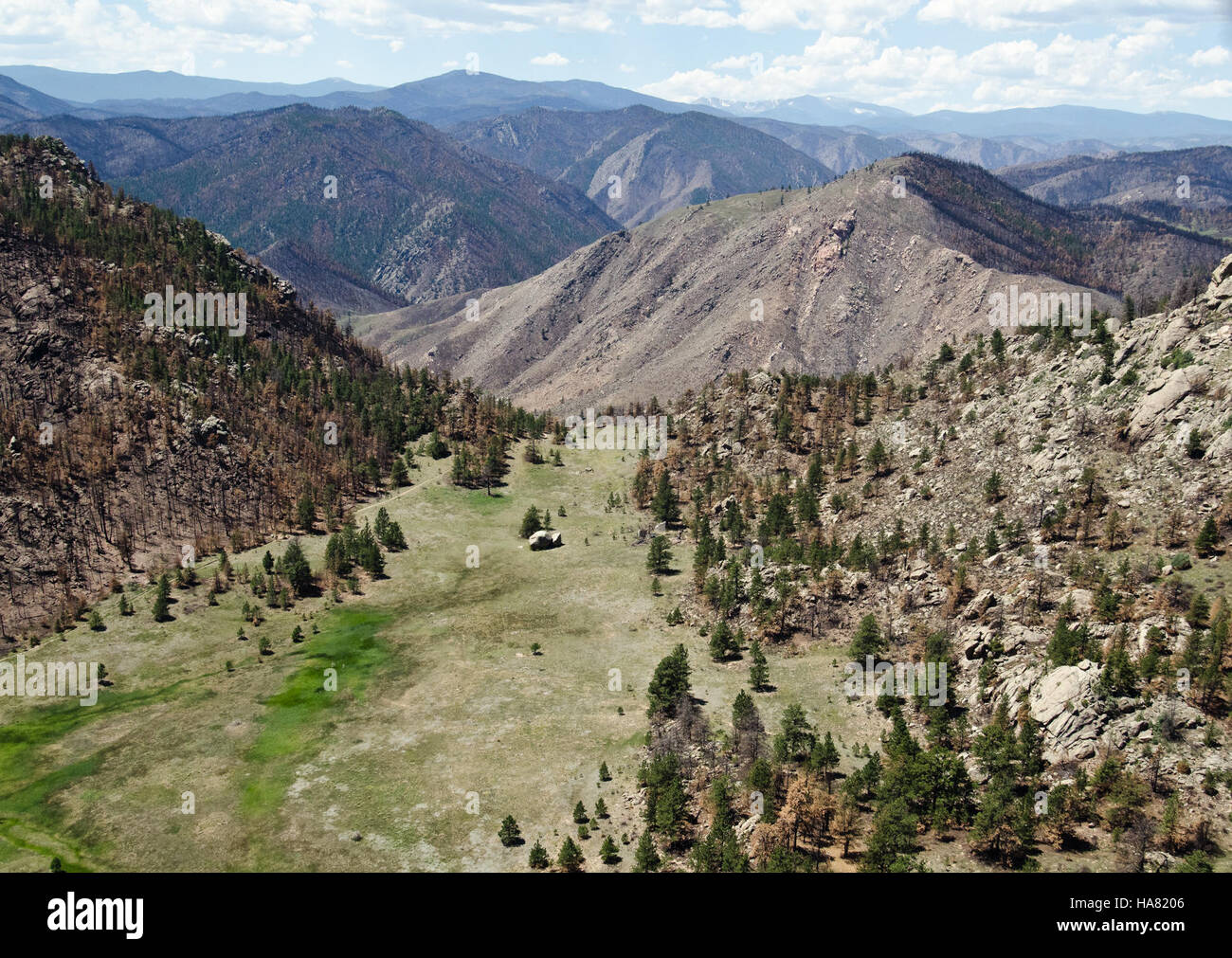 This aerial image shows the USDA’s efforts to mitigate environmental damage caused by beetle-kill brush and runoff in the Poudre Canyon area of Roosevelt National Forest, focusing on soil restoration and ecosystem management. Stock Photo