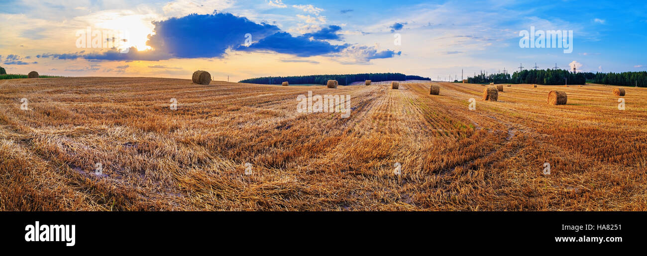 Autumn field with hay bales after harvest Stock Photo - Alamy