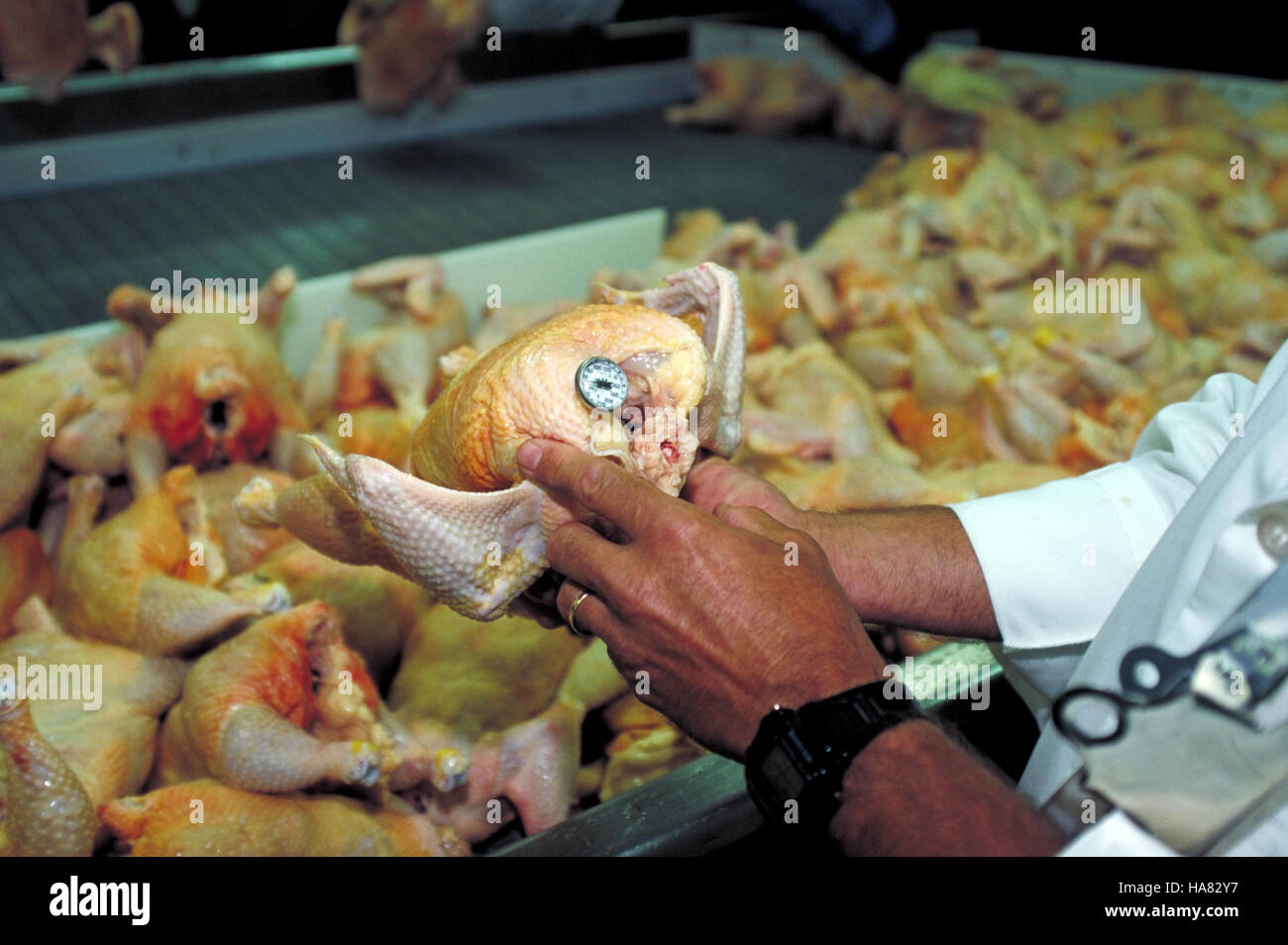 The USDA celebrated the 150th anniversary of the Food Safety and ...