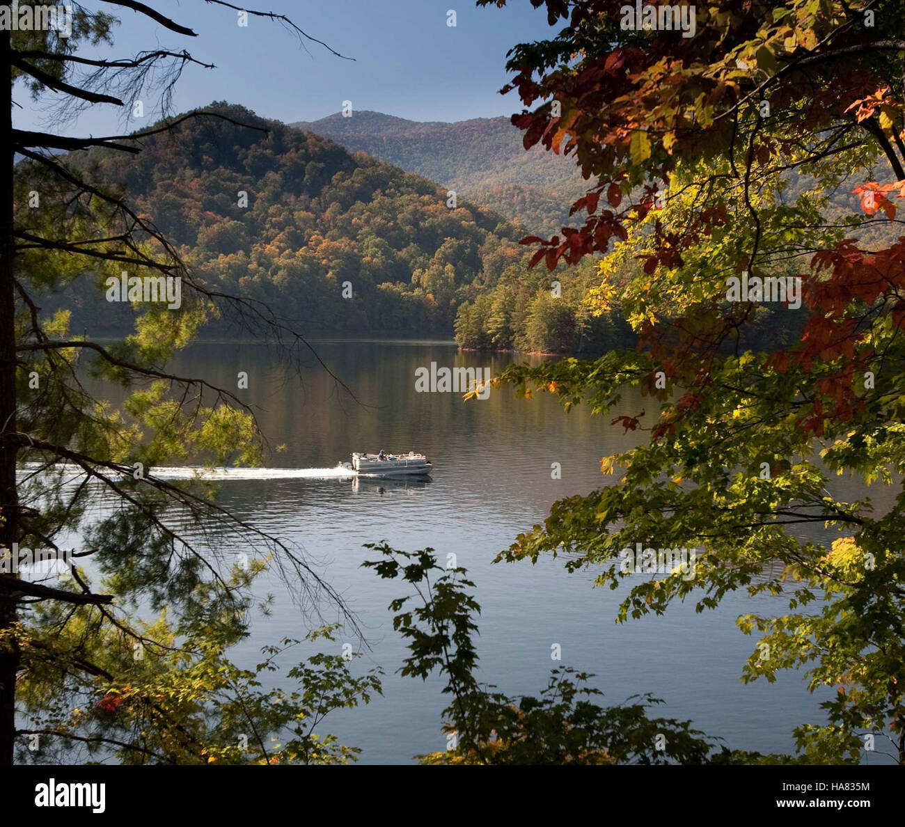 Fall at Cheoah Point offers vibrant colors and scenic views of the surrounding landscape. The area is part of the Great Smoky Mountains National Park, known for its biodiversity and natural beauty. Stock Photo