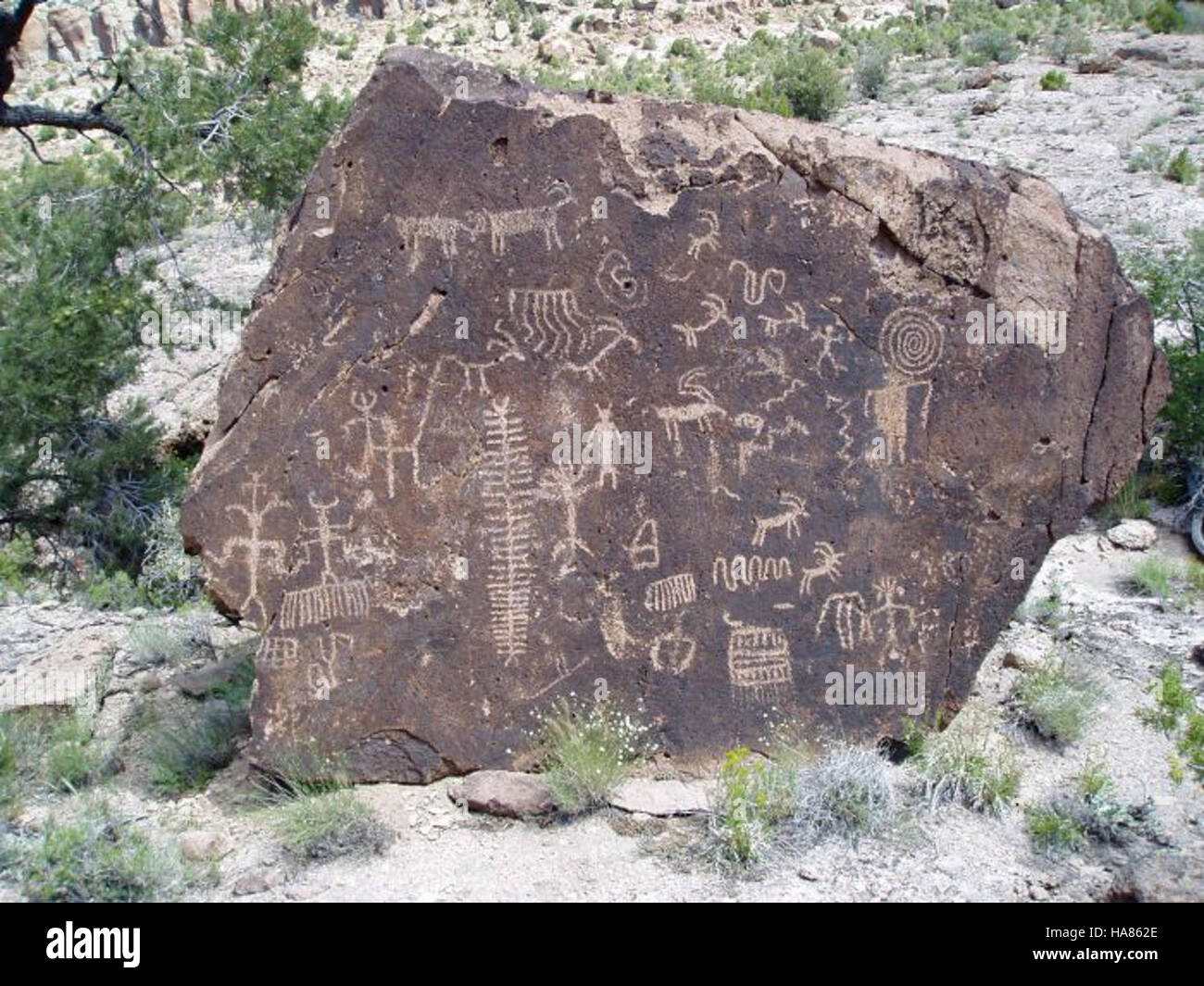 Big Rocks Wilderness Area, located in Nevada, offers rugged landscapes ...