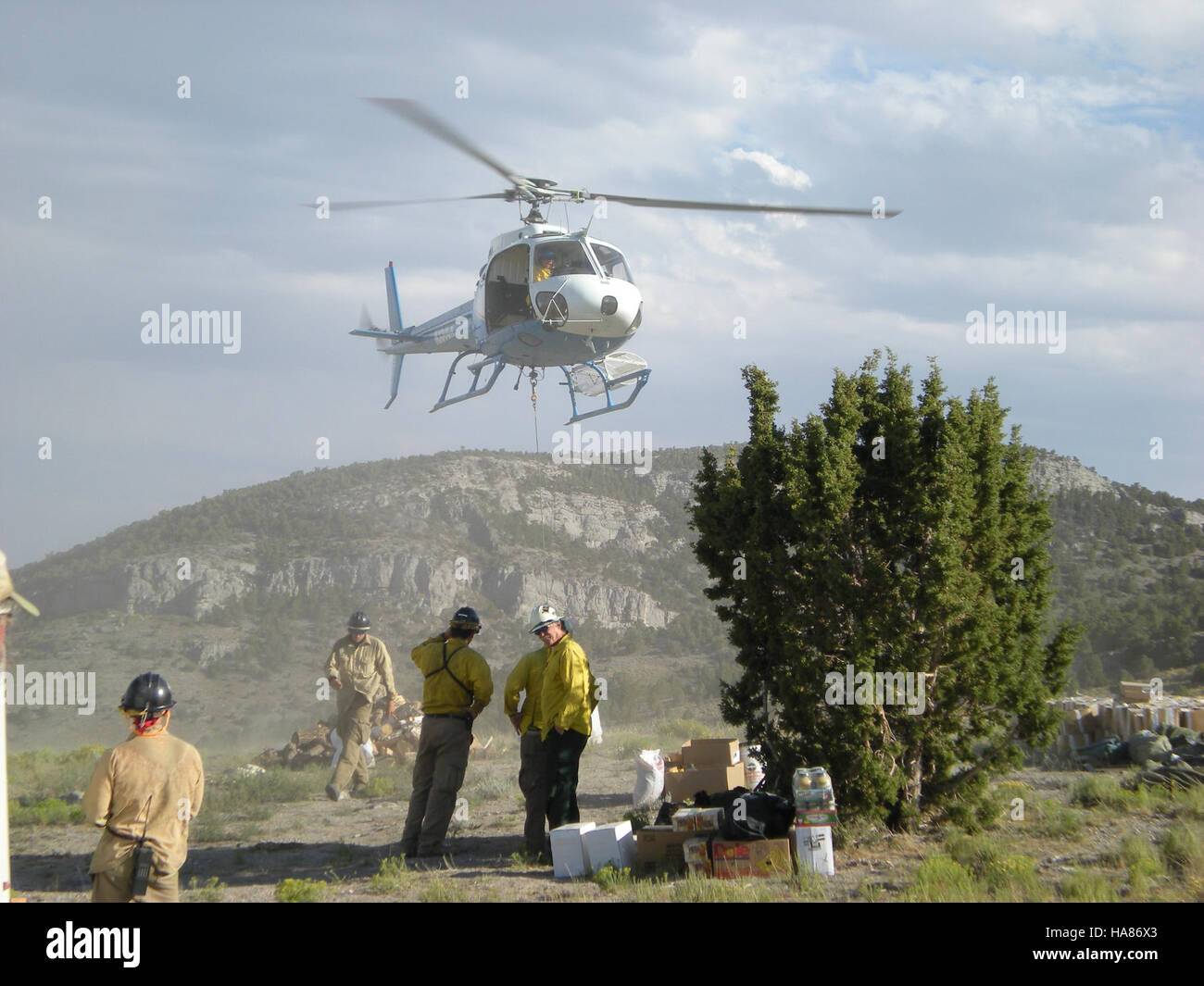 The Goshute Raptor Migration Area in Nevada is a key site for the ...