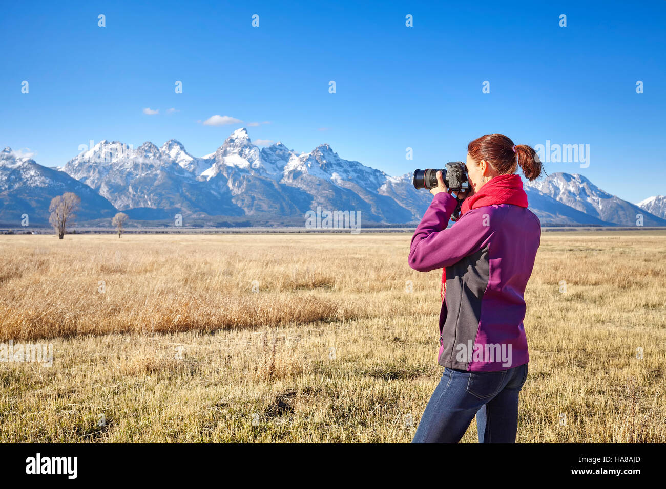 Female fit hiker taking pictures with DSLR camera in the Grand Teton National Park, Wyoming, USA. Stock Photo