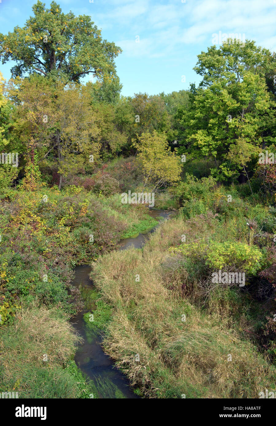 usfwsmidwest 15359466492 Trout Stream Stock Photo Alamy