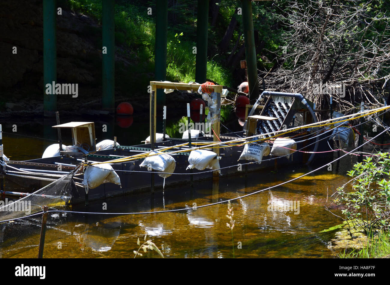 Eel ladder hires stock photography and images Alamy
