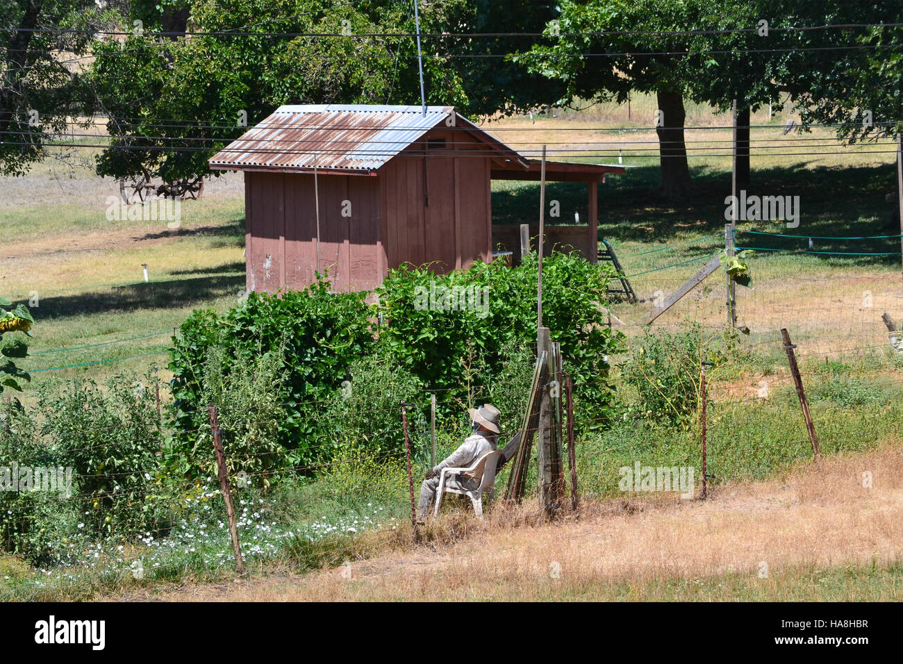 Scarecrow sitting on plastic chair watching a garden in Northern California, USA Stock Photo