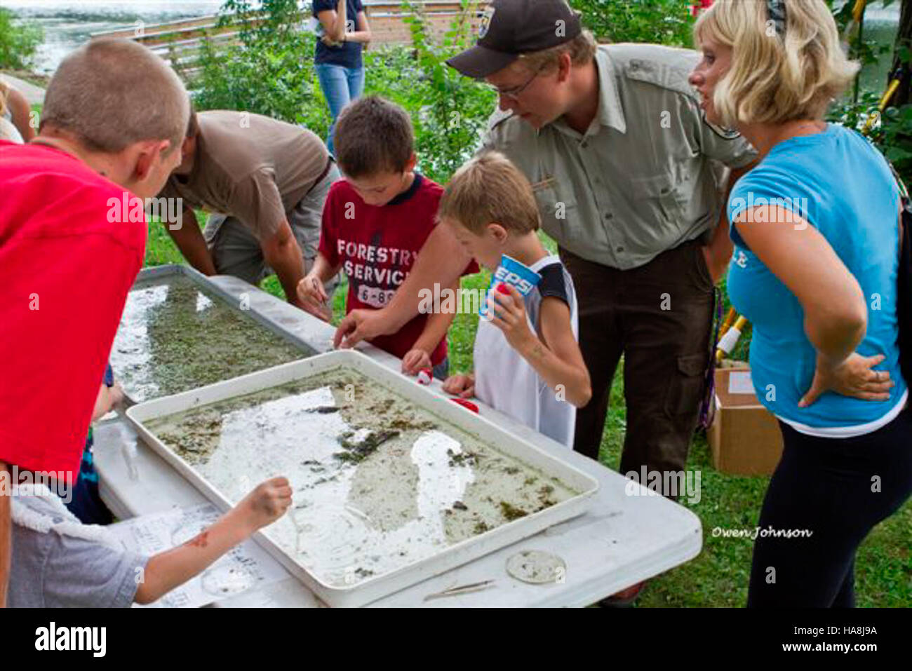 Investigating nature hi-res stock photography and images - Alamy