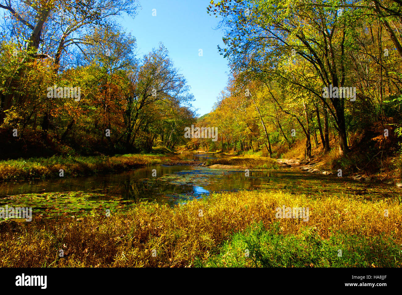 usfwsmidwest 6166380652 Muscatatuck River Stock Photo - Alamy