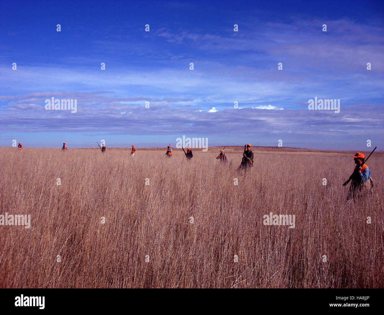 Hunter Information Program Hunter education programs are critical for ensuring safe and ethical ...