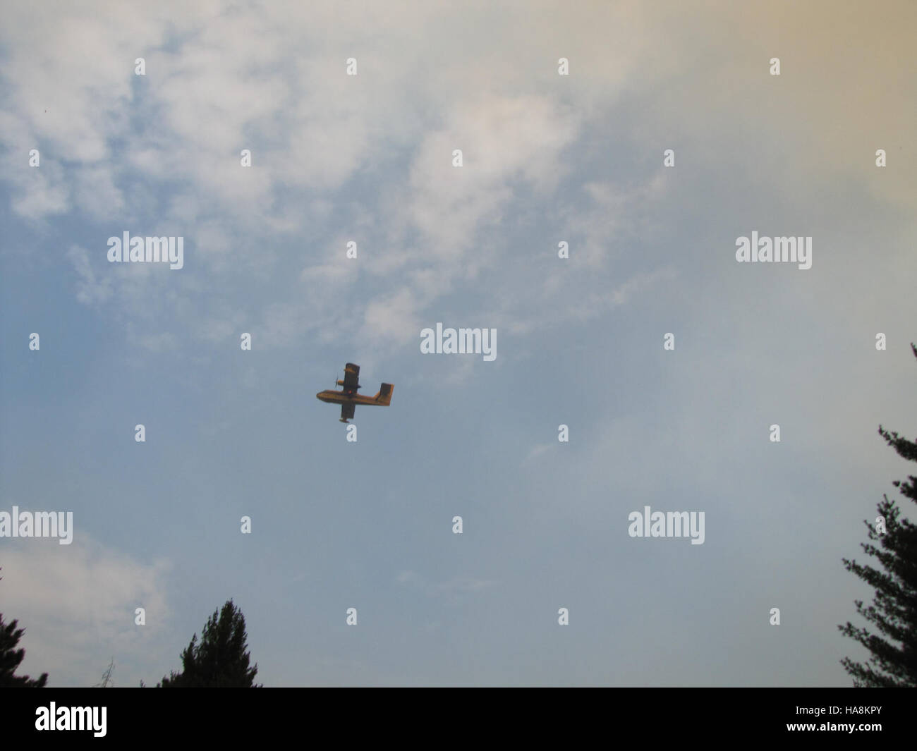 National parks wildlife service hi-res stock photography and images - Alamy