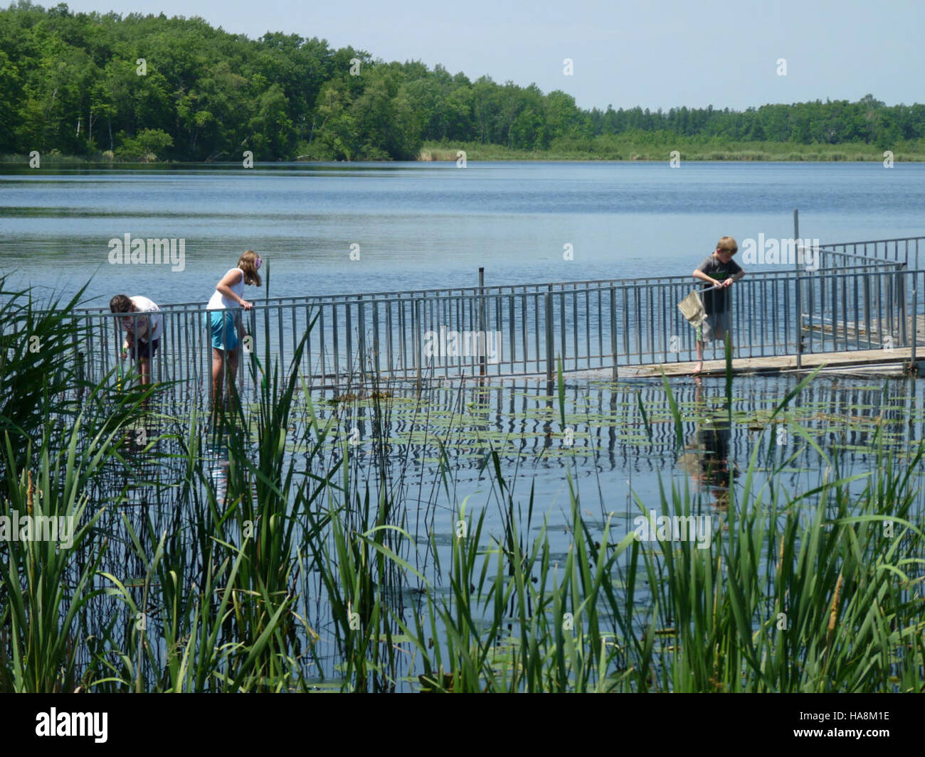 Rice creek park hi-res stock photography and images - Alamy