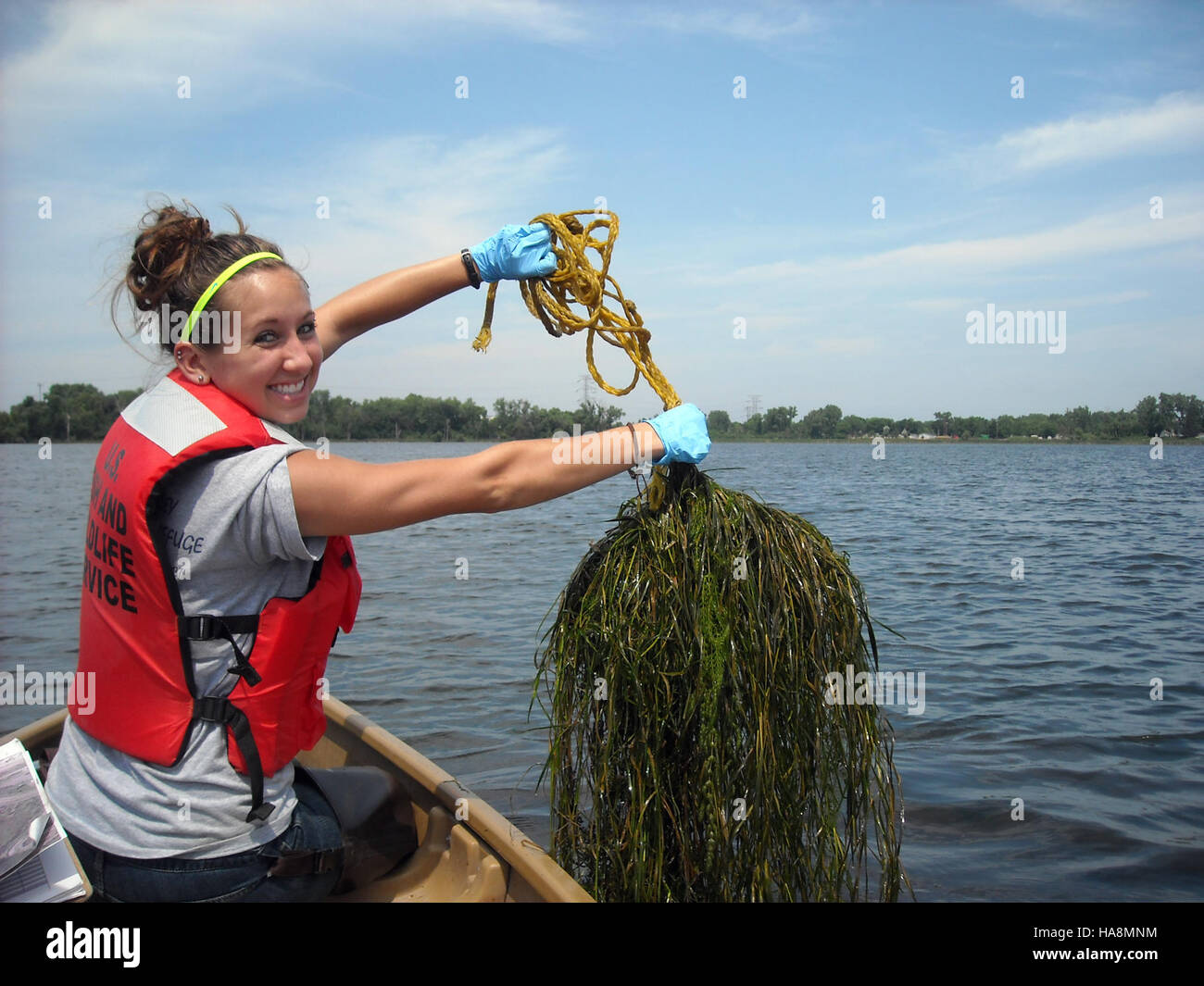 This image shows a full rake operation at a national park, a method ...
