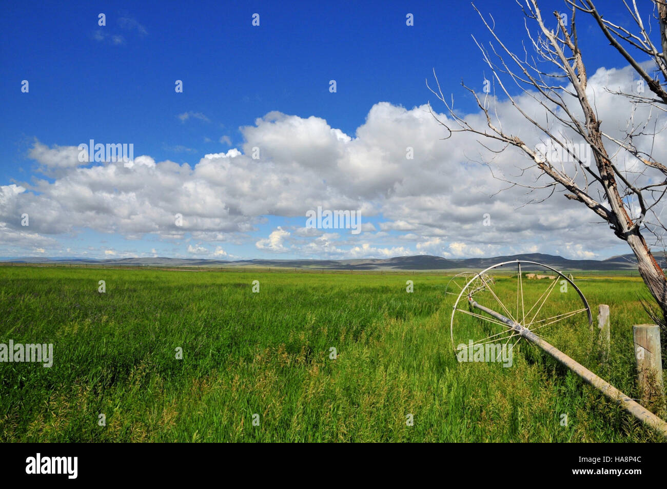 usfwsmtnprairie 12911304644 Cokeville Meadows National Wildlife Refuge