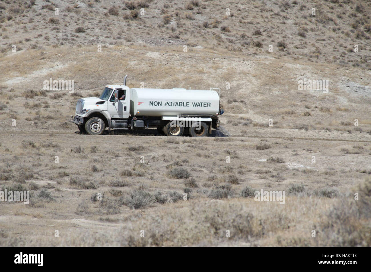 The Jackson Mountains Herd Management Area (HMA) in Nevada is home to ...