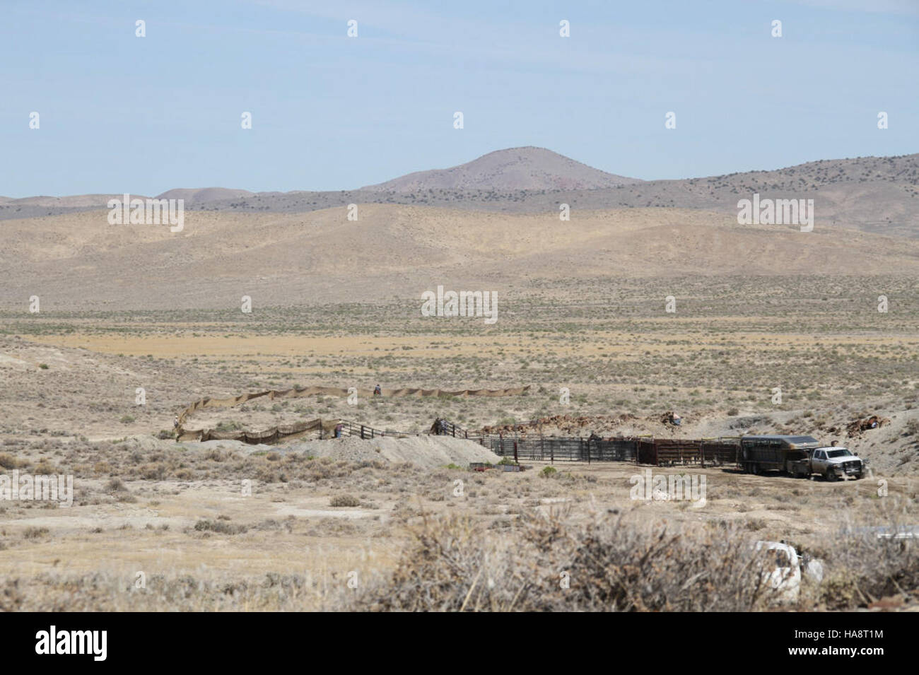 blmnevada 7187607753 Jackson Mountains HMA Emergency Wild Horse Gather ...