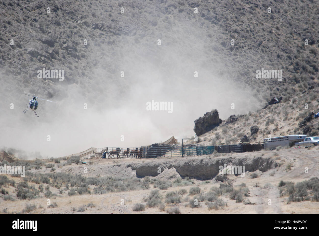 The Jackson Mountains HMA emergency wild horse gather aims to address ...