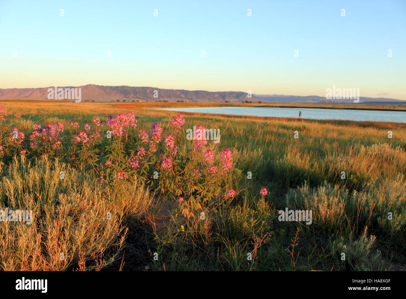 usfwsmtnprairie 20032541696 Mortenson Lake National Wildlife Refuge