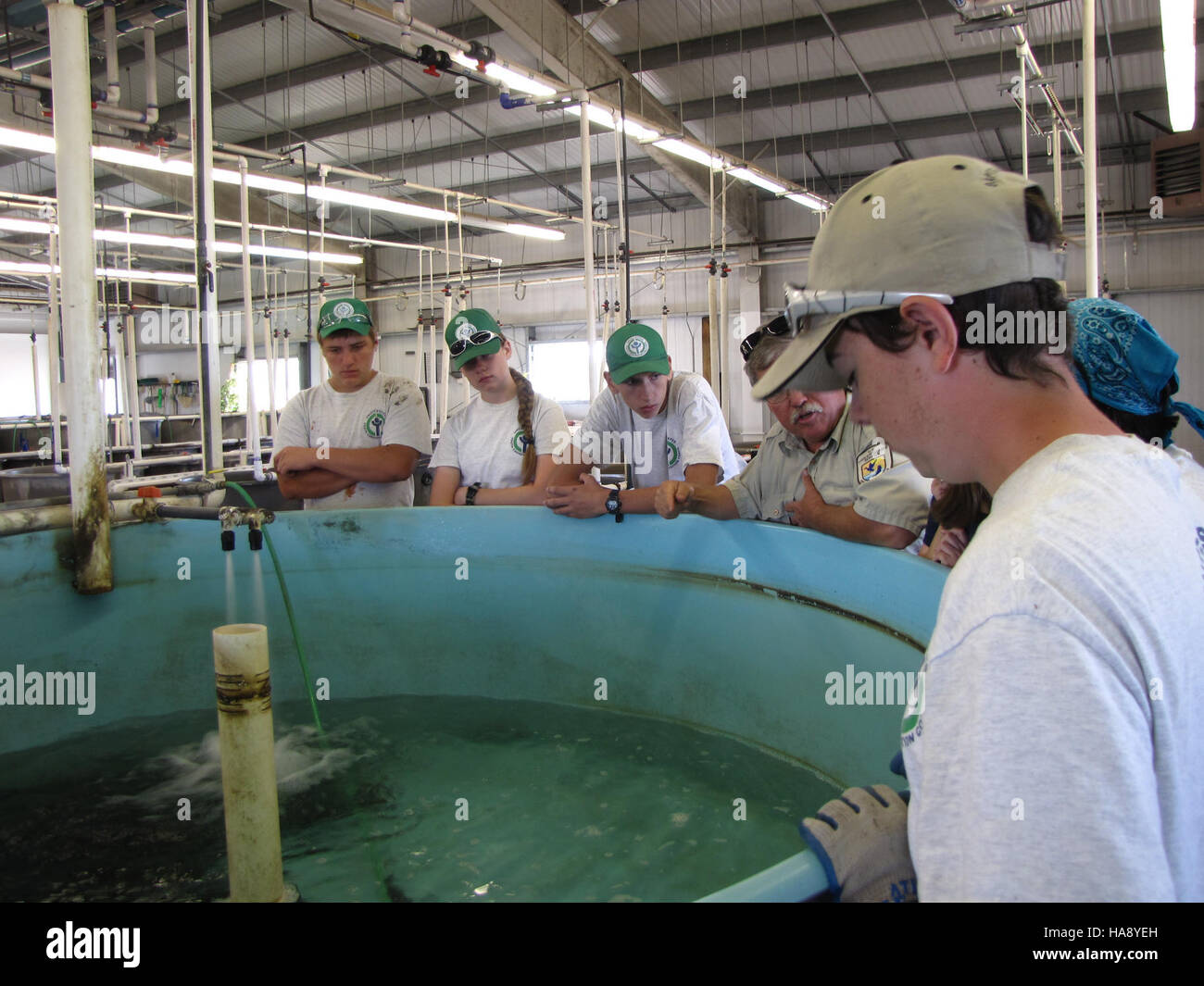 Fish stock replenishment hi-res stock photography and images - Alamy