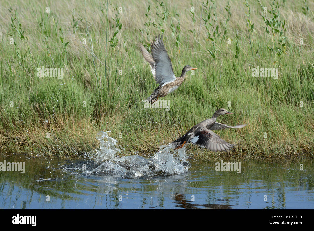 This image captures a moment in a national park, signaling a change in ...