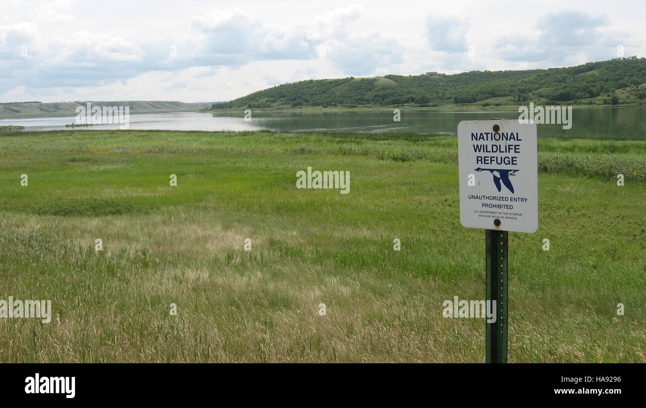 usfwsmtnprairie 5220995860 View of Pool 5 on Des Lacs National Wildlife Refuge Stock Photo Alamy