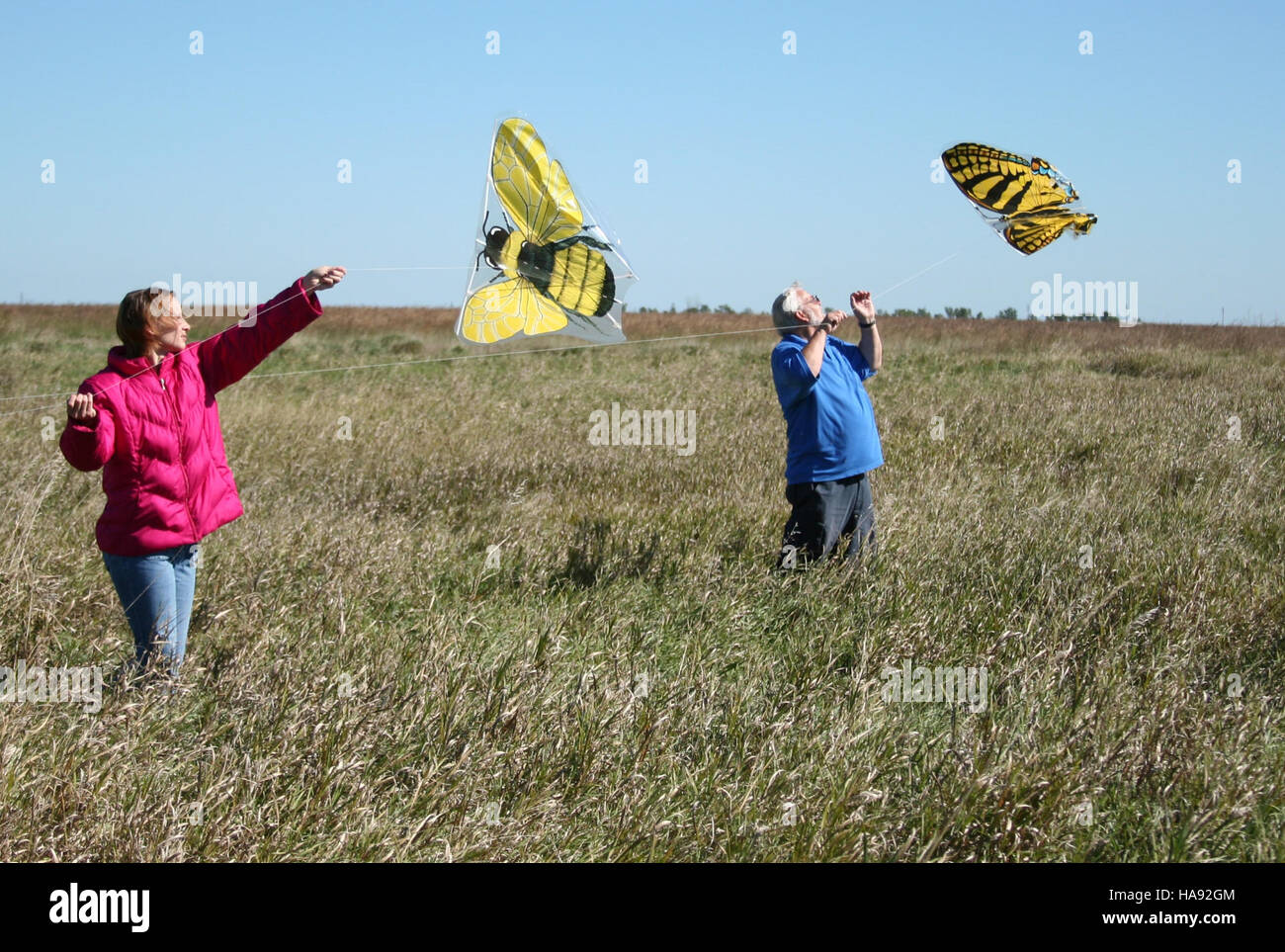 Fly kites hires stock photography and images Alamy