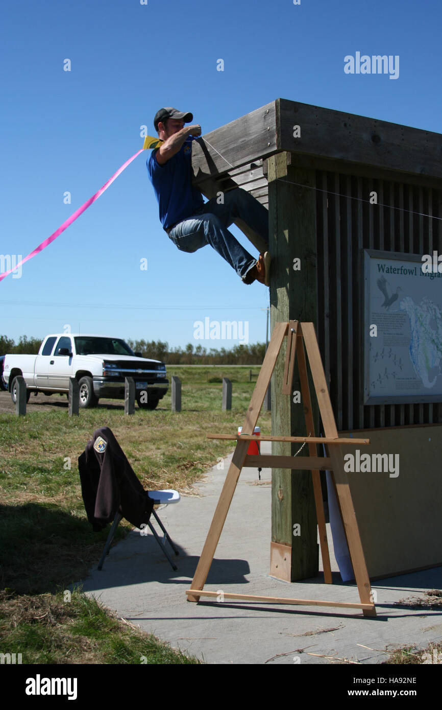 usfwsmtnprairie 5416147899 Kites N Flight 2010 Stock Photo Alamy