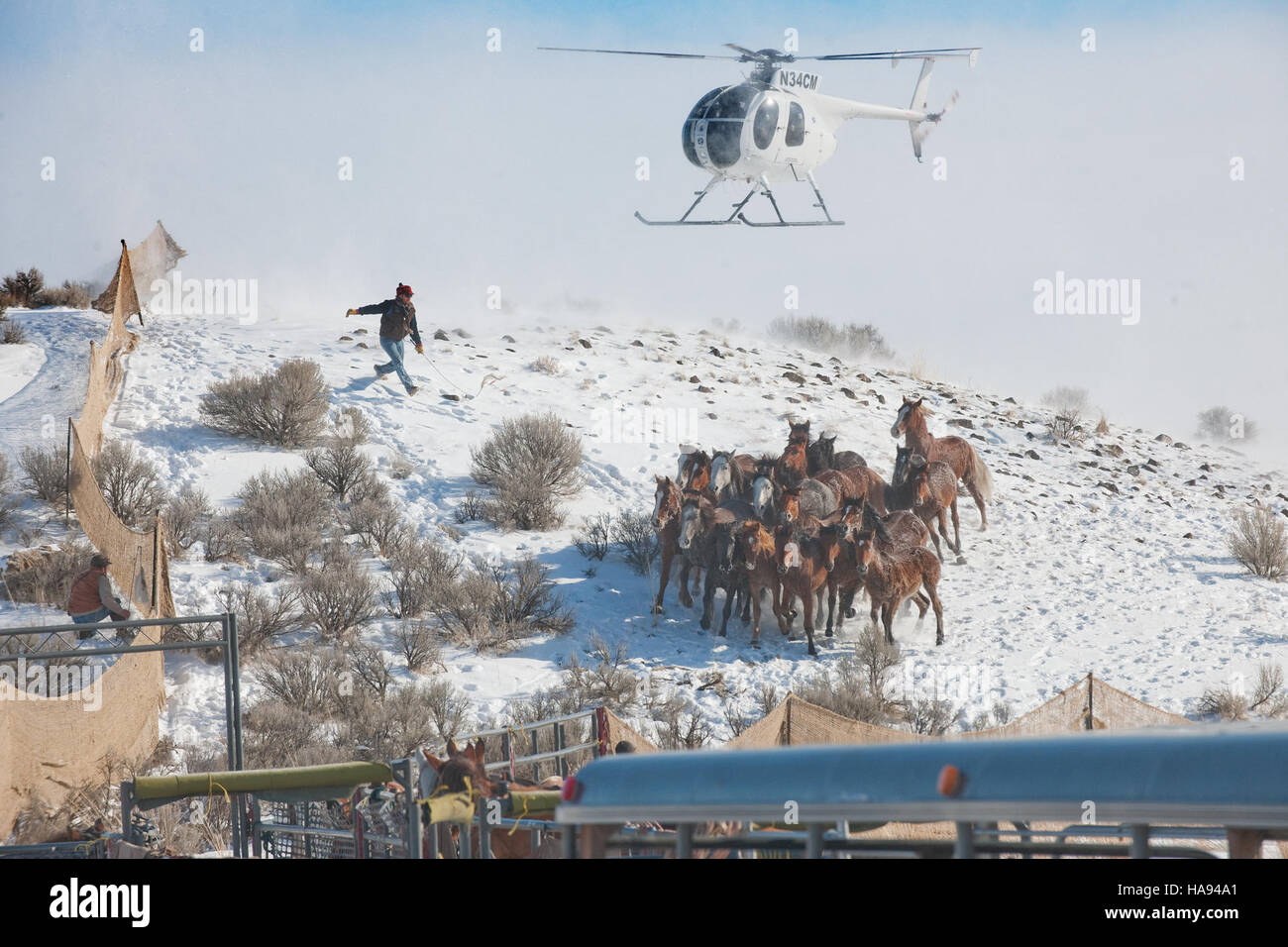 Healthy rangeland hi-res stock photography and images - Alamy
