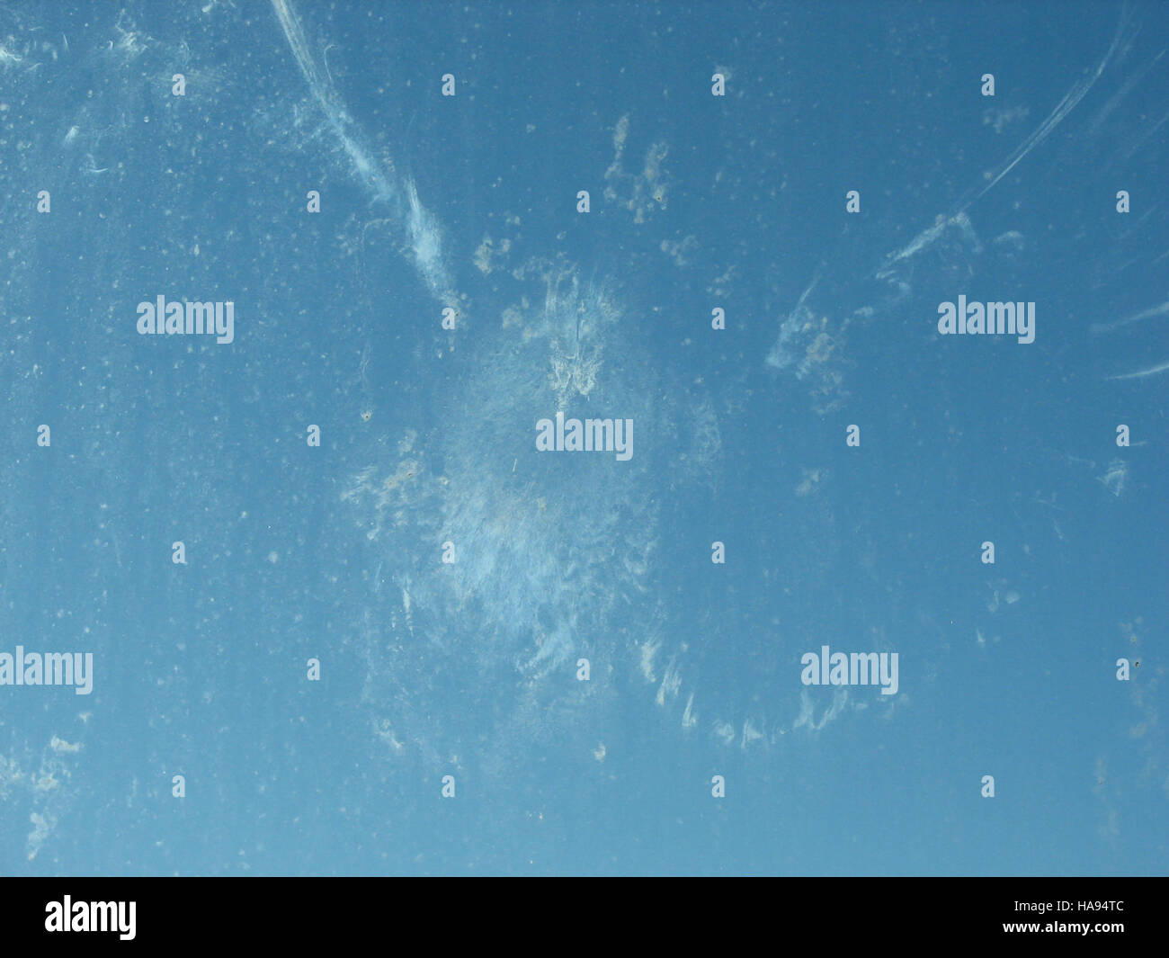 usfwsmtnprairie 7369010040 Bird Window strike Stock Photo Alamy