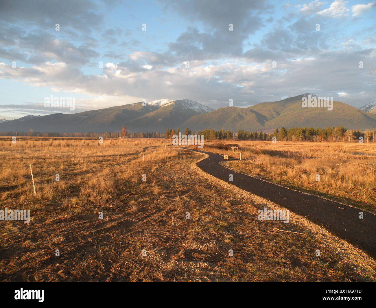 A photograph capturing the fall scenery along the Kenai Nature Trail in ...