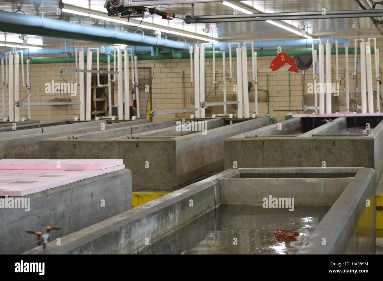 Fish Raceway Nrcs Raceways, managed by the U.S. Fish and Wildlife Service, provide ...