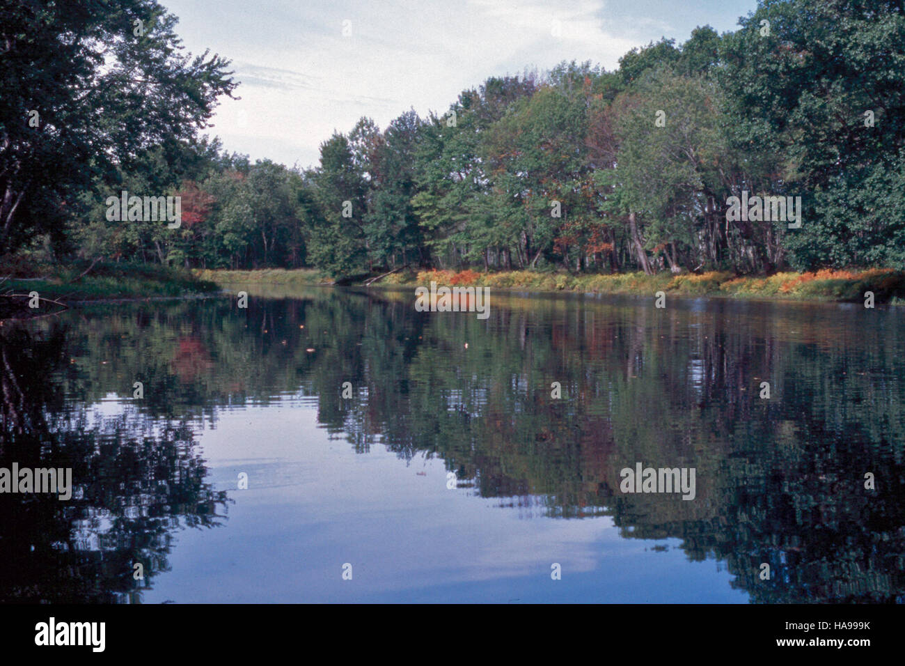 usfwsnortheast 15011534456 5. Celebrating 50 years of the Land and